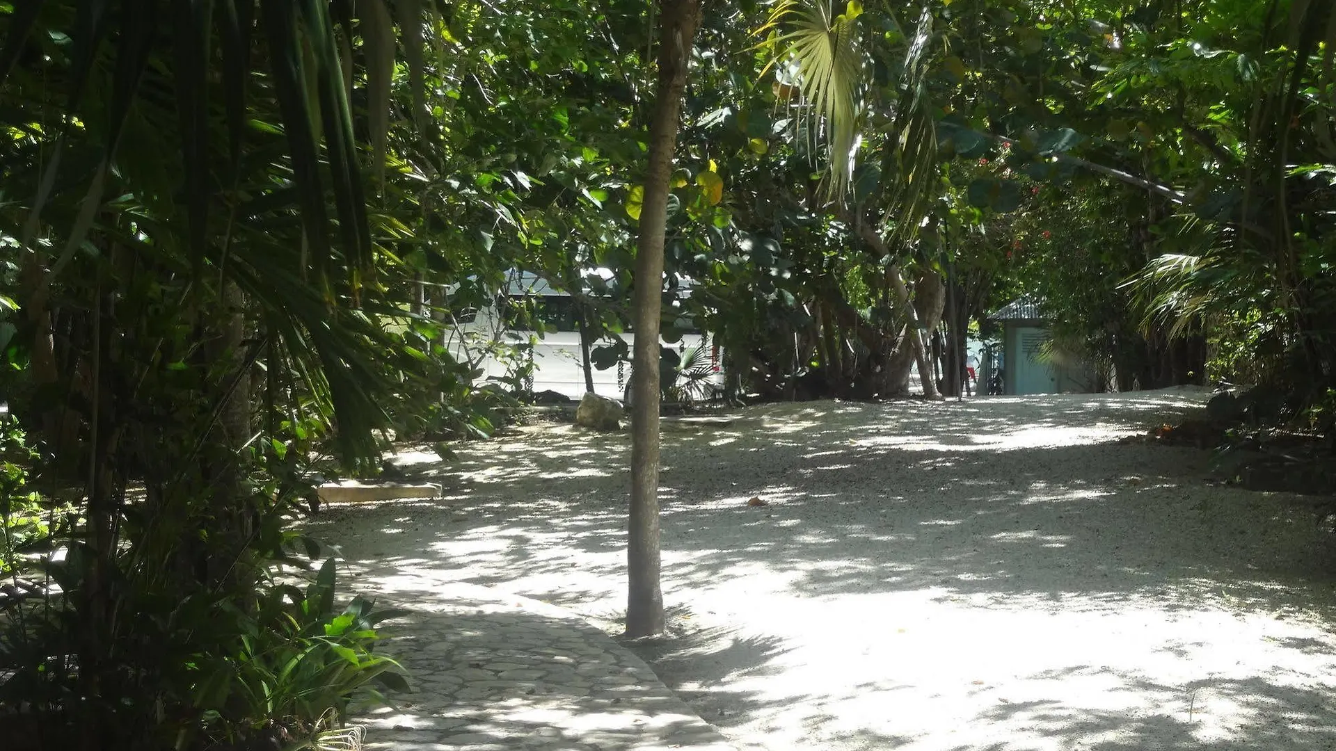 Hotel Idle Awhile Cliffs Negril